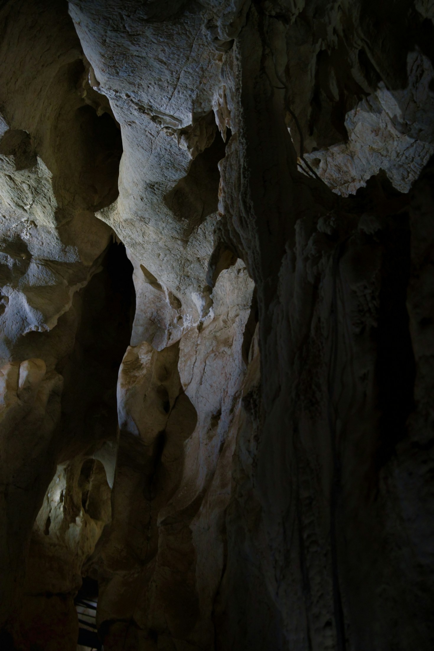 Why Ecological Restoration of Caves Is Crucial
